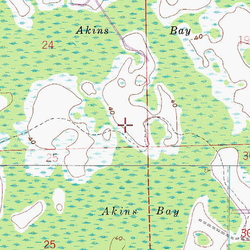 Topographic Map of Akins Bay, FL