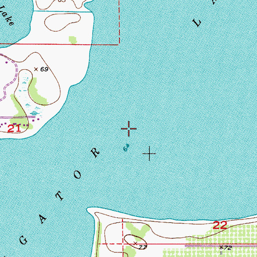 Topographic Map of Alligator Lake, FL