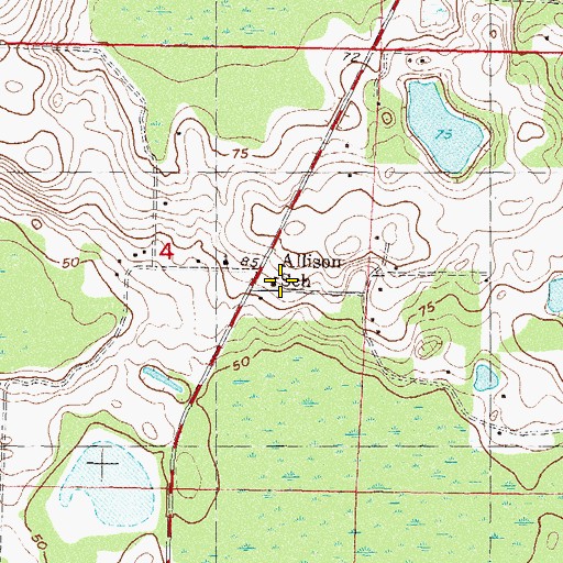 Topographic Map of Allison School, FL