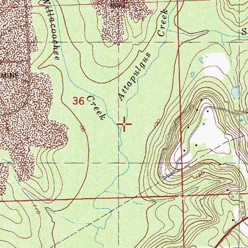 Topographic Map of Attapulgus Creek, FL
