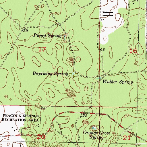 Topographic Map of Baptizing Spring, FL