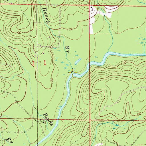 Topographic Map of Beech Branch, FL