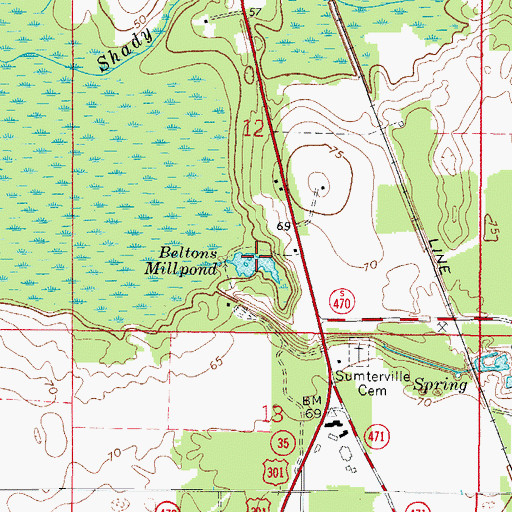 Topographic Map of Beltons Millpond, FL