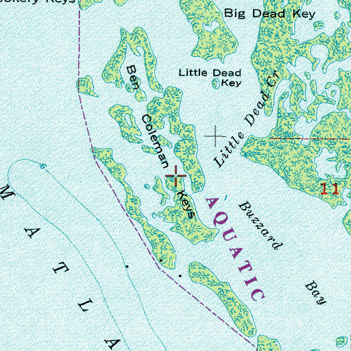 Topographic Map of Ben Coleman Keys, FL