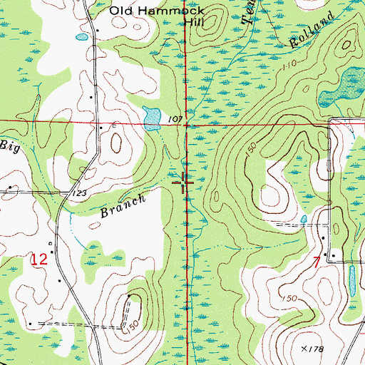 Topographic Map of Big Branch, FL