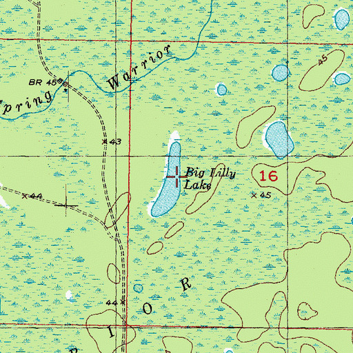 Topographic Map of Big Lilly Lake, FL