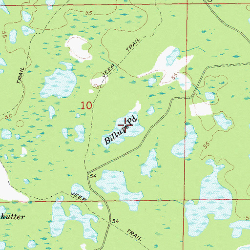 Topographic Map of Billups Pond, FL