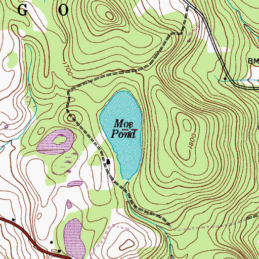 Topographic Map of Moe Pond, NY