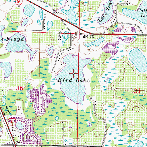 Topographic Map of Bird Lake, FL