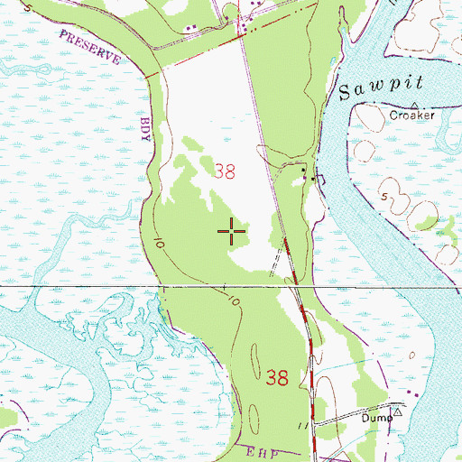 Topographic Map of Black Hammock Island, FL