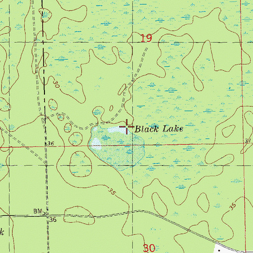 Topographic Map of Black Lake, FL