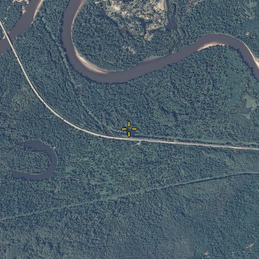 Aerial/Satellite Image of Black Lake, FL