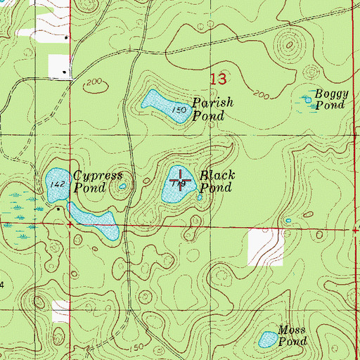 Topographic Map of Black Pond, FL