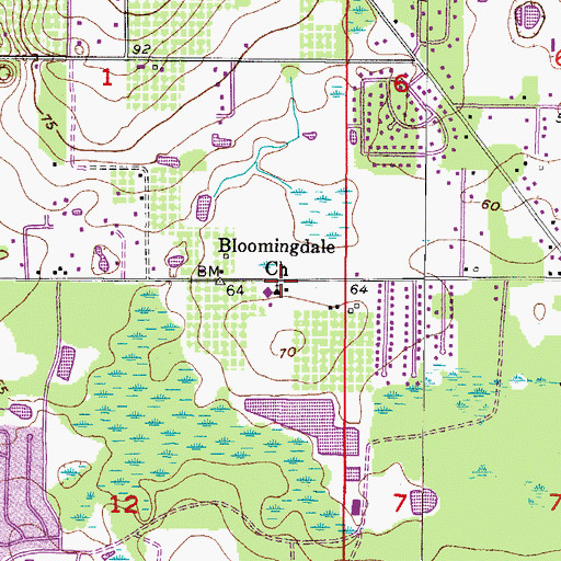 Topographic Map of Bloomingdale Church, FL