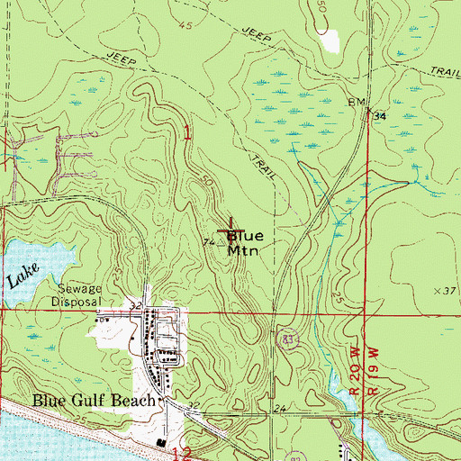 Topographic Map of Blue Mountain, FL