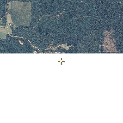 Aerial/Satellite Image of Bluff Springs Lake, FL