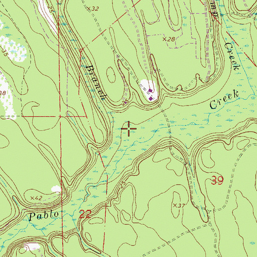 Topographic Map of Boggy Branch, FL