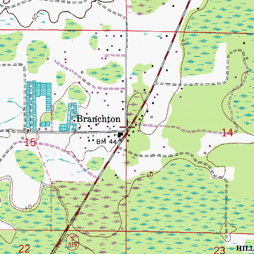 Topographic Map of Branchton, FL