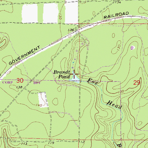 Topographic Map of Brandt Pond, FL