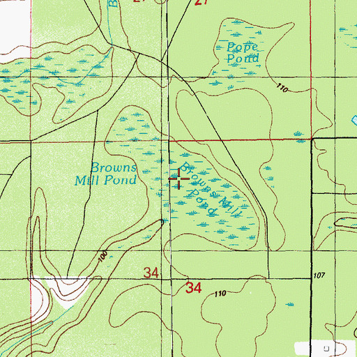 Topographic Map of Browns Mill Pond, FL