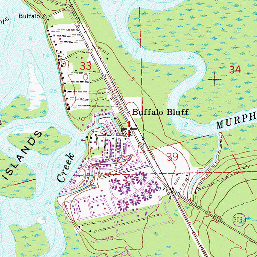 Topographic Map of Buffalo Bluff, FL