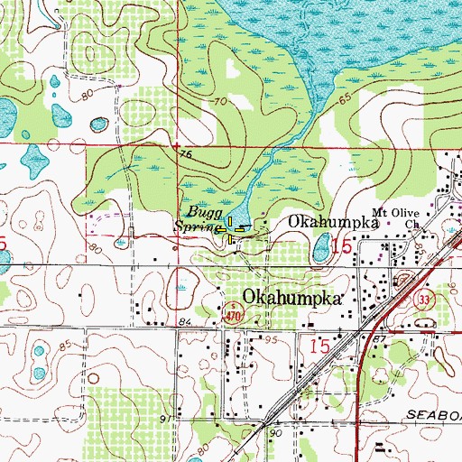 Topographic Map of Bugg Spring, FL