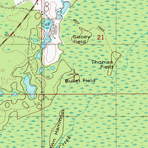Topographic Map of Bullet Field, FL
