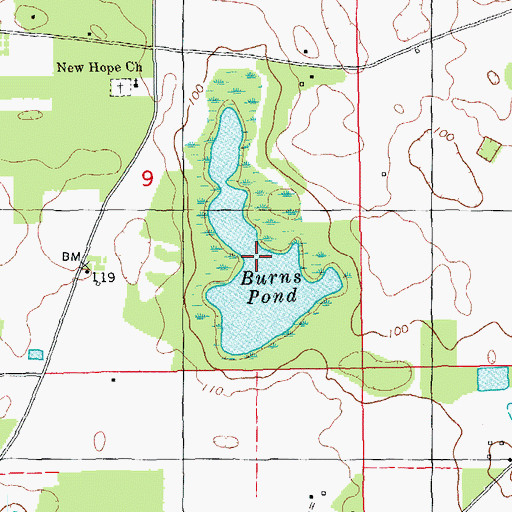 Topographic Map of Burns Pond, FL