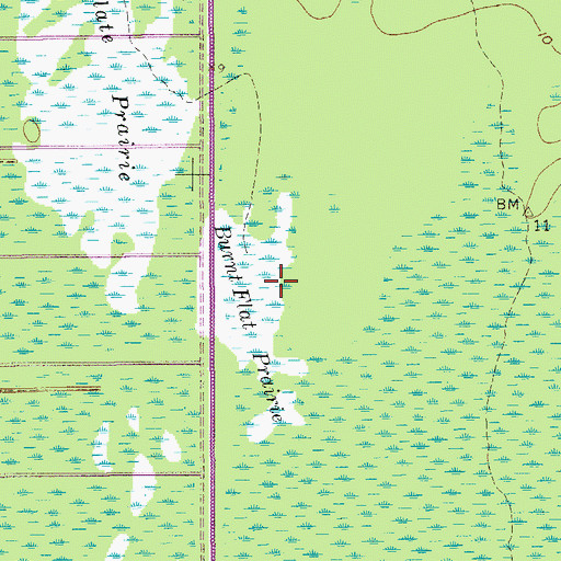 Topographic Map of Burnt Flat Prairie, FL