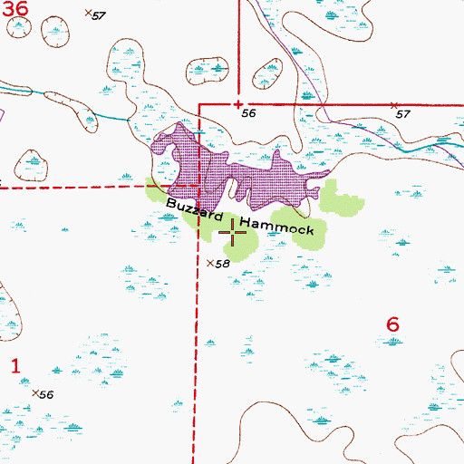 Topographic Map of Buzzard Hammock, FL
