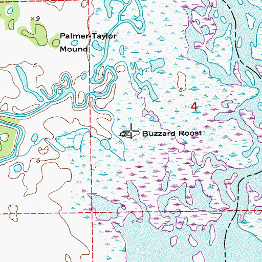 Topographic Map of Buzzard Roost, FL