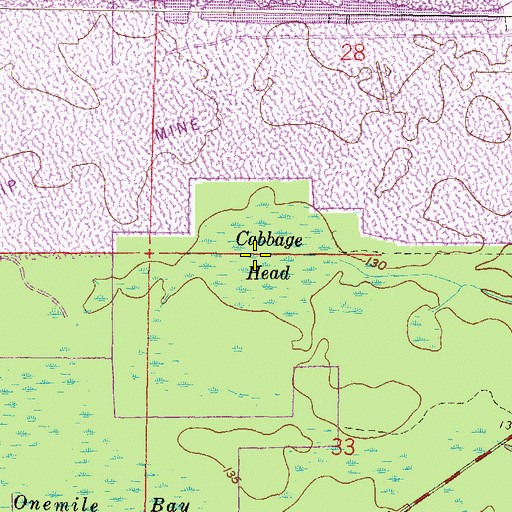 Topographic Map of Cabbage Head, FL