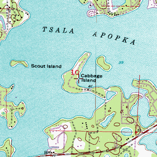 Topographic Map of Cabbage Island, FL