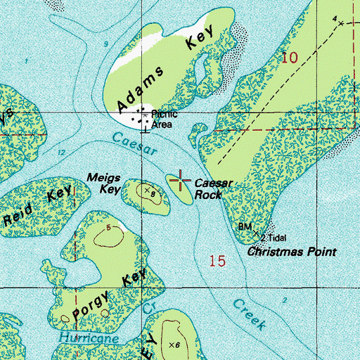 Topographic Map of Caesar Rock, FL