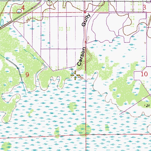 Topographic Map of Carson Gully, FL