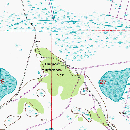 Topographic Map of Carson Hammock, FL