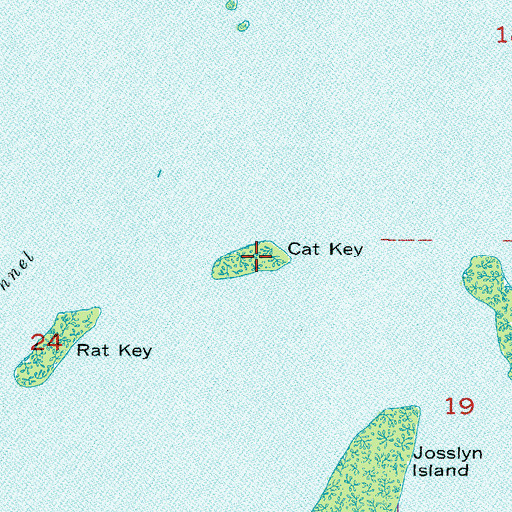 Topographic Map of Cat Key, FL