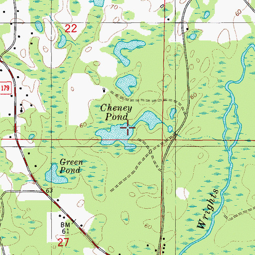 Topographic Map of Cheney Pond, FL