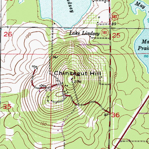 Topographic Map of Chinsegut Hill, FL