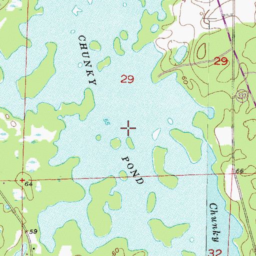 Topographic Map of Chunky Pond, FL