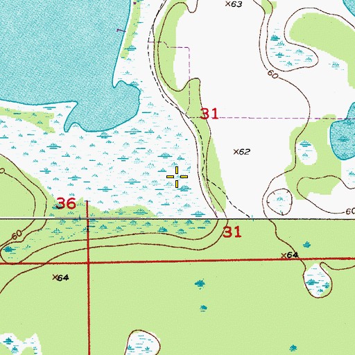Topographic Map of Cobb Marsh, FL