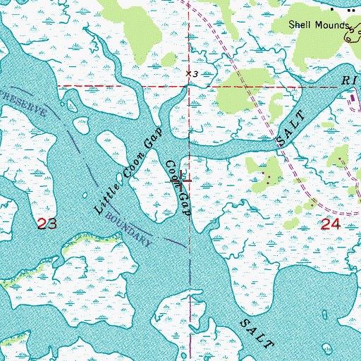 Topographic Map of Coon Gap, FL