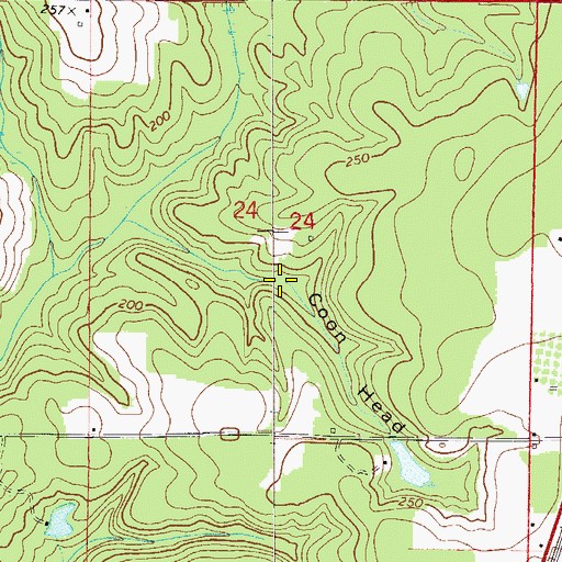 Topographic Map of Coon Head, FL