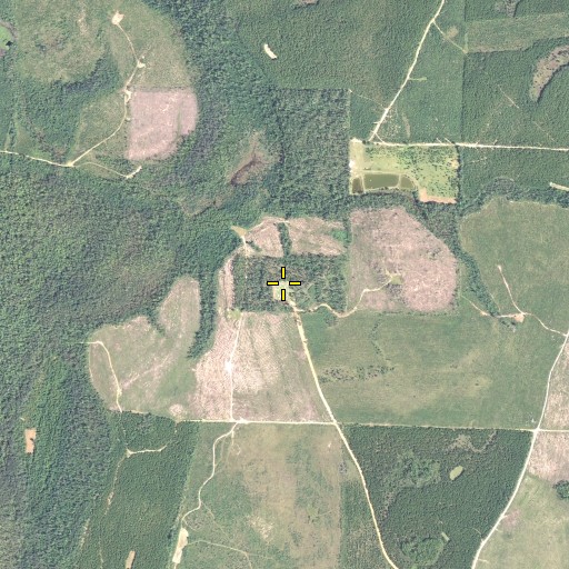 Aerial/Satellite Image of Coon Hill Cemetery, FL