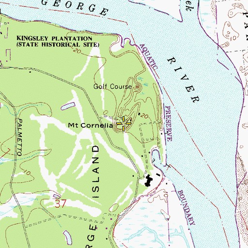 Topographic Map of Mount Cornelia, FL