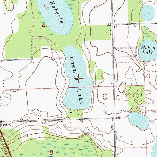 Topographic Map of Cowarts Lake, FL