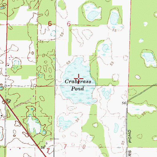 Topographic Map of Crabgrass Pond, FL