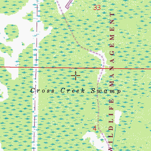 Topographic Map of Cross Creek Swamp, FL