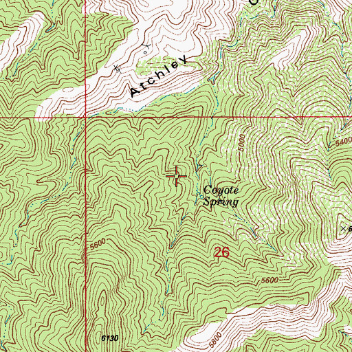 Topographic Map of Coyote Spring, AZ