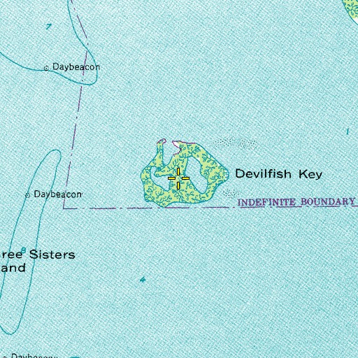 Topographic Map of Devilfish Key, FL